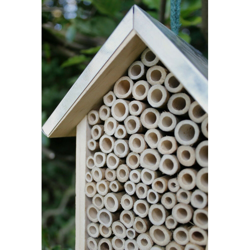 Thorgard Weather Resistant Insect Cage