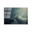 Boze Print on Glass
