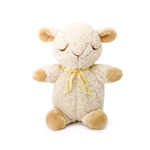 Sleep Sheep