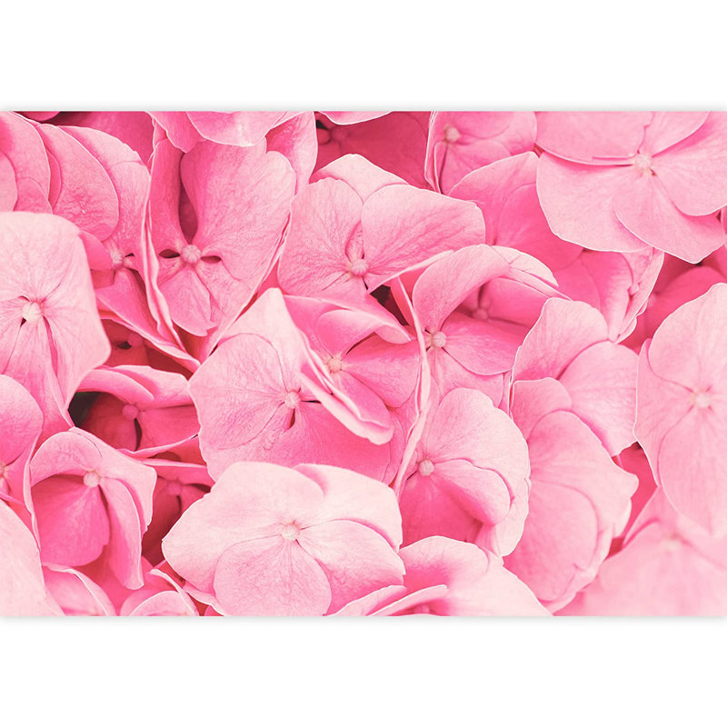 Vibrant jardin de pétales de fleurs roses, L 66 po x l 96 po