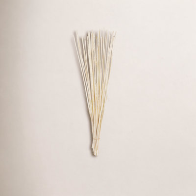 Dried Elephant Reed Stems