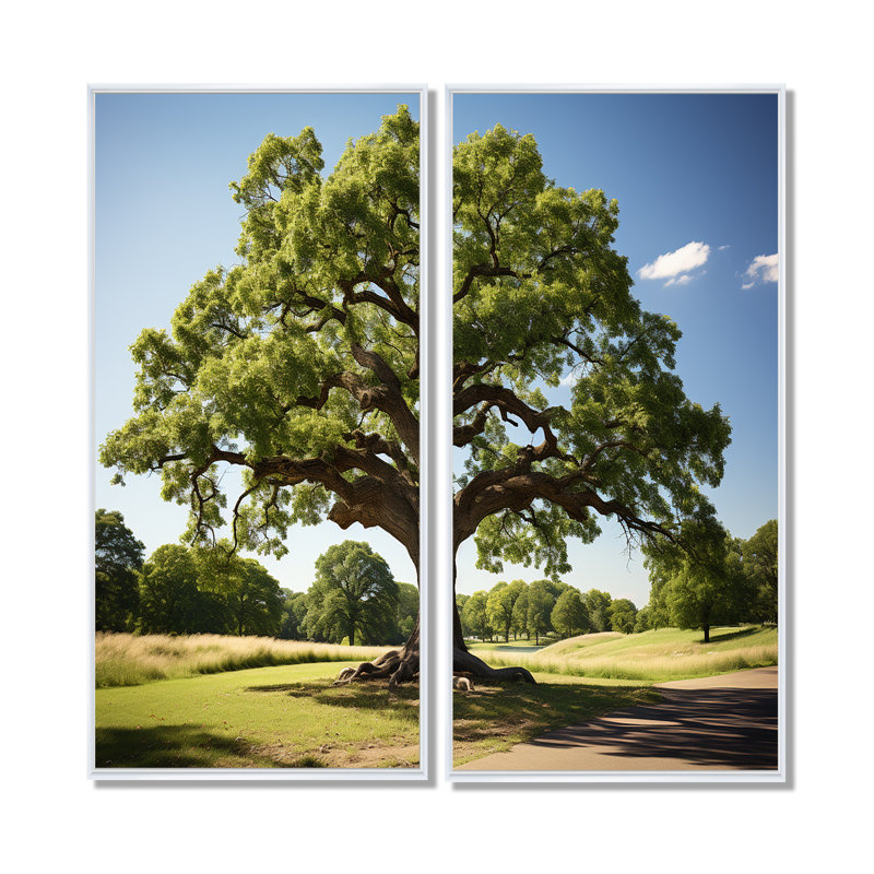 Décoration murale arbres chêne majestueux II - chêne floral, H 32 po x l 32 po, Cadre flottant, Blanc