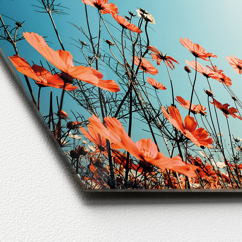 White & Red Flowers Photographic Art Print on Glass, 50cm H x 125cm W x 1.4cm D