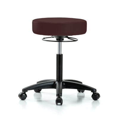 Adjustable Height Lab Stool with Removable Casters/Wheels