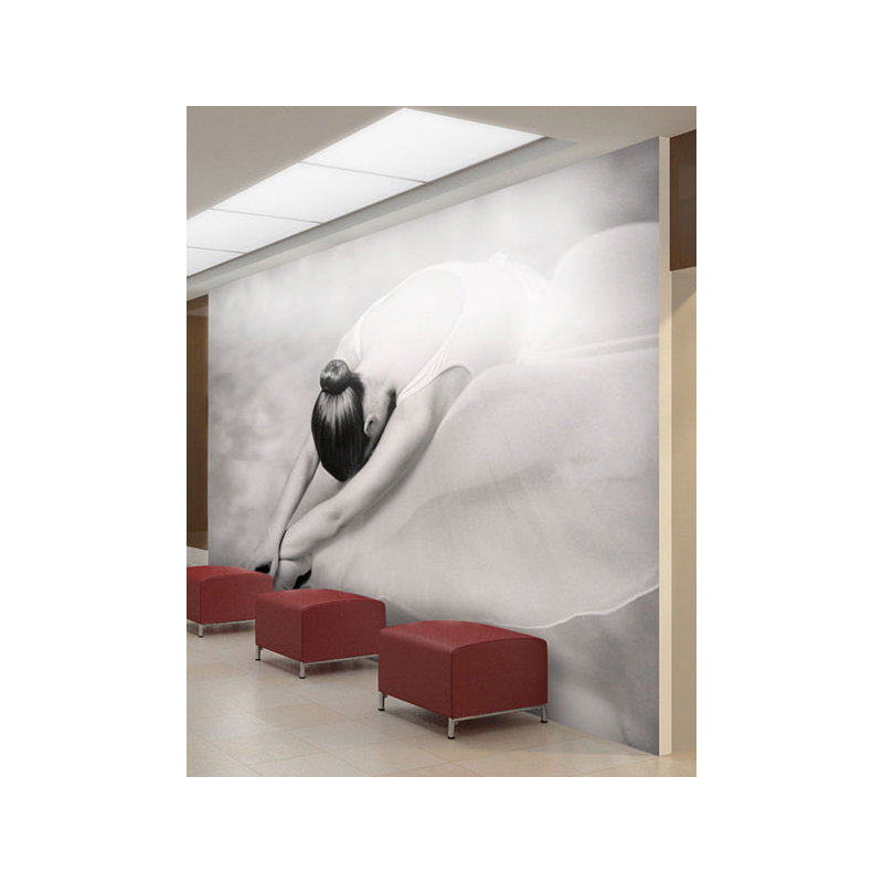 Ballet Dancer 270cm x 350cm Wallpaper, 400 cm x 309 cm