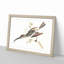 Hummingbird by Johan Teyler - Picture Frame Painting Print-55578800-55578801