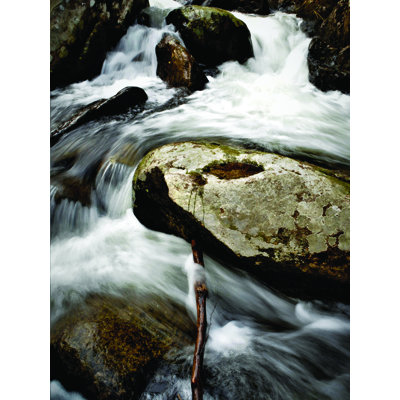 «Water Rush» par Joseph Elliot - reproduction de photo