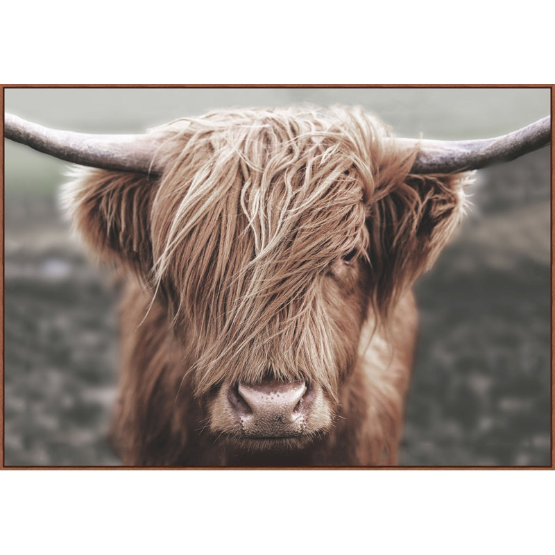 " Buffalo Portrait "