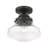 Jarek 1-Light 9" Semi Flush Mount-449286831