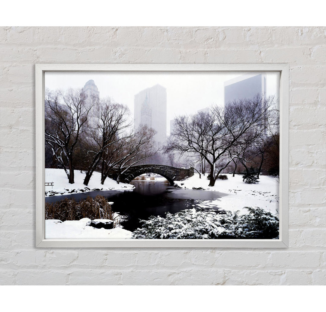 Central Park In Winter - Einzelner Bilderrahmen Kunstdrucke auf Leinwand