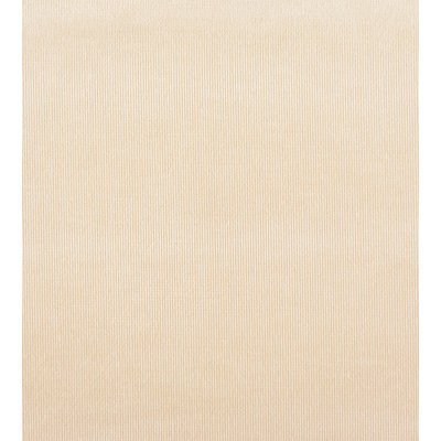 Essential Velvets Glamour Fabric