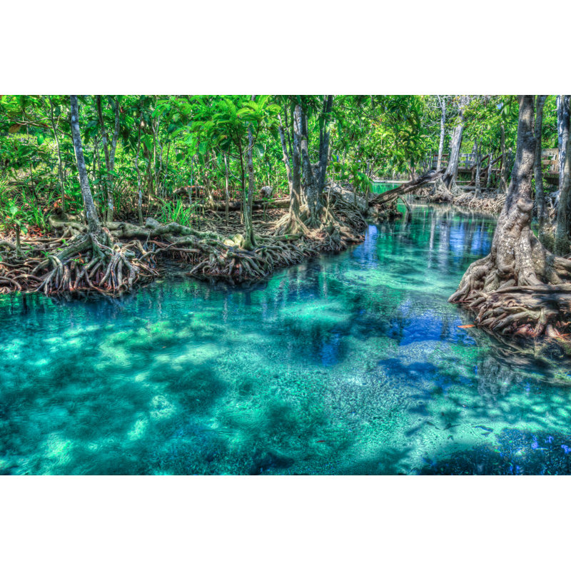 «Mangrove Trees» par Aiisha5 - Photographie sur toile tendue, L 18 po x H 12 po
