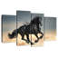 Black Desert Horse