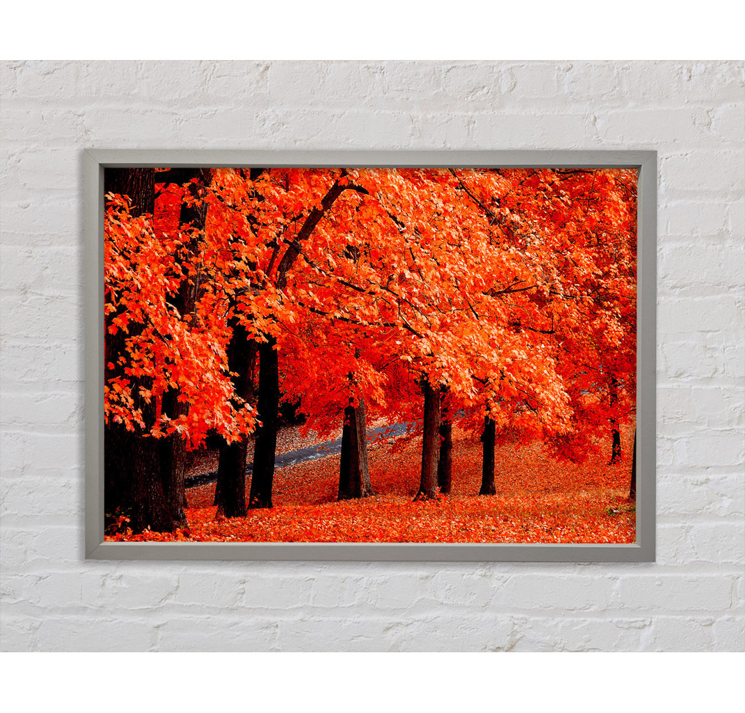 Beautiful Autumn Orange Leaves - Einzelne Bilderrahmen Kunstdrucke auf Leinwand