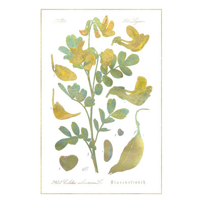 Yellow Botanical - Wrapped Canvas Painting