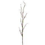 Moss Branch