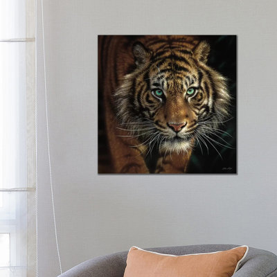 Eye Of The Tiger, Square by Collin Bogle - Painting on Canvas