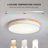 15.75inch Modern LED Flush Mount 3000K/4000K/6000K Dimmable Flush Mount Light