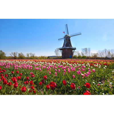 Wooden Windmill - Photographie sur toile tendue