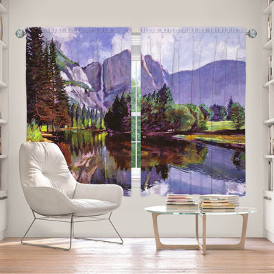 Czaplinksi Room Darkening Curtains / Drapes Pair