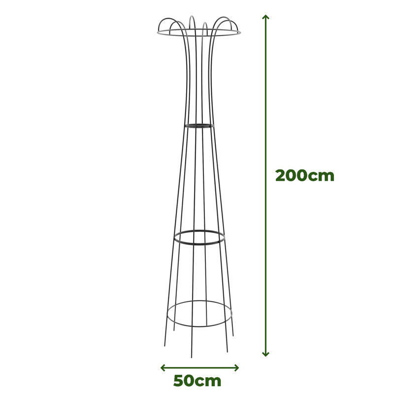 Wilmore Metal Obelisk Plant Support, Black, 200cm H x 50cm W x 50cm D