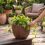 Jardinière écologique d'intérieur / extérieur Vinesha ECOBO-1203563269-1203563274-1197920228