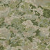 Shades of Green