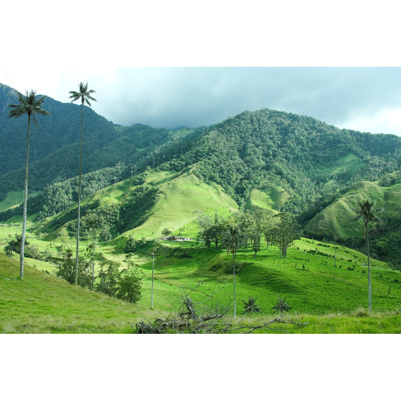 Cocora Valley - Wrapped Canvas Print, 61cm H x 91cm W x 3.8cm D