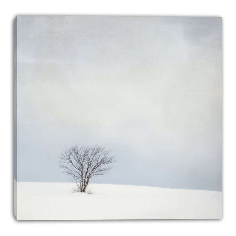 Art mural sur toile enneigée Snowfield, L 12 po x H 12 po x P 1 po