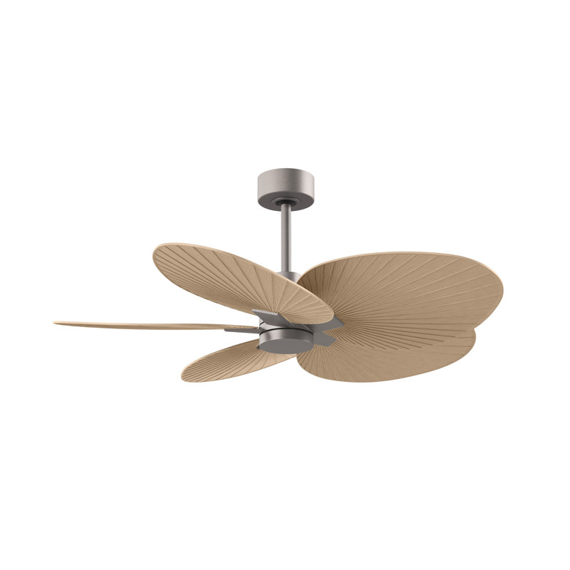 Alessandra - Five Blade Ceiling Fan, Light Maple Tone, Brushed Nickel