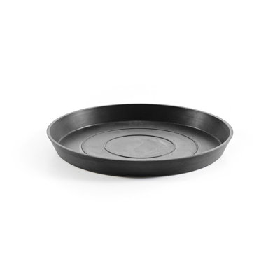 Saucer