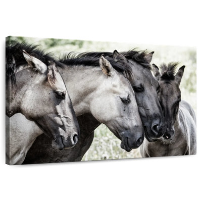Van Den Four Konik Horses