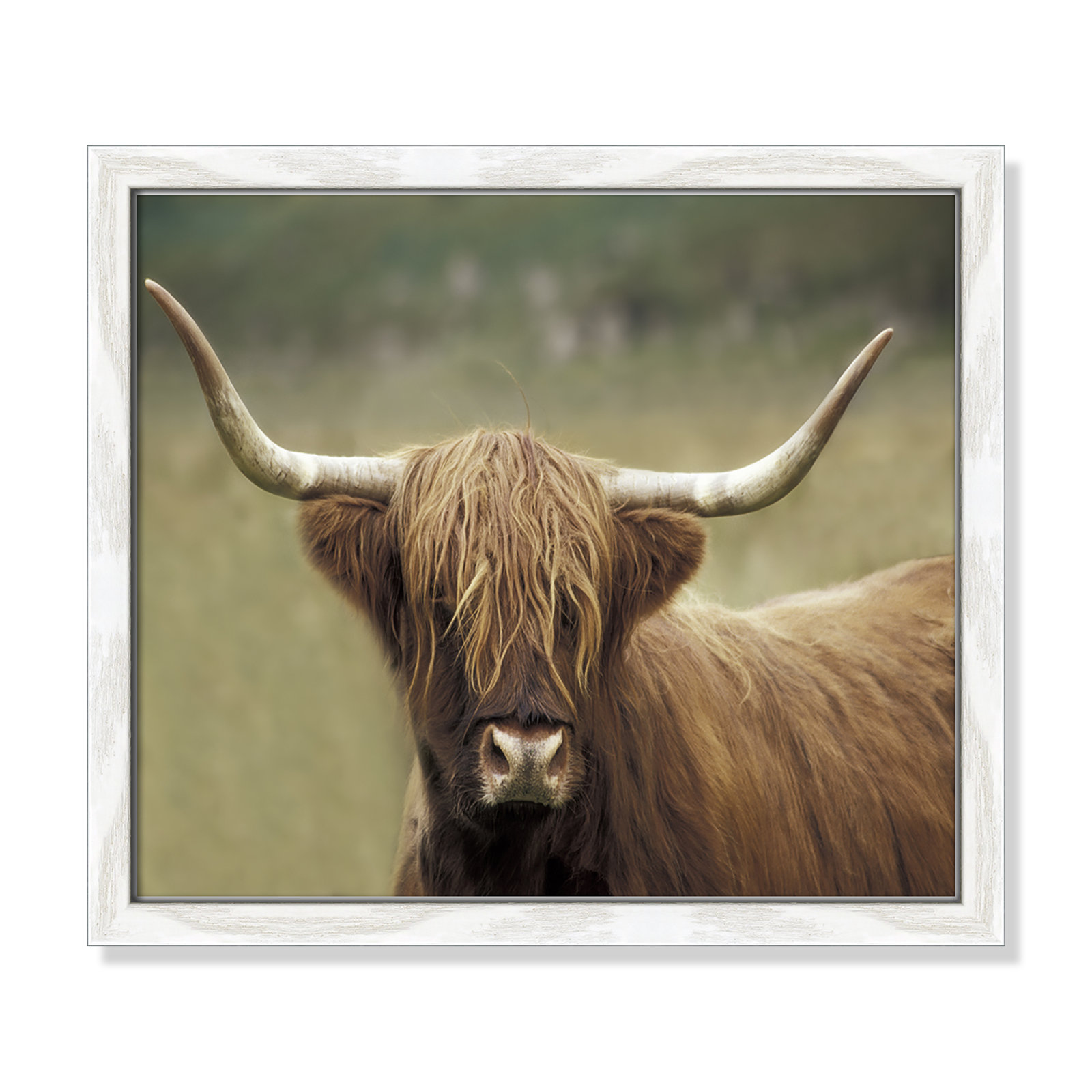 Frederic "Highland Afternoon" Print, 13" H x 15" W x 0.75" D, White Wood Grain Framed