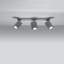 Ring Ceiling Spotlight-109100905