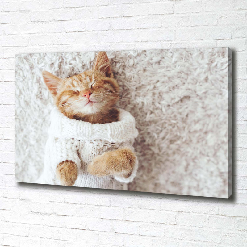 Kitten In A Sweater - No Frame Print on Canvas