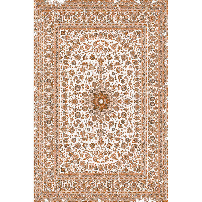 Sahair Performance Washable Oriental Indoor / Outdoor Rug, Rectangle 2'8" x 5'