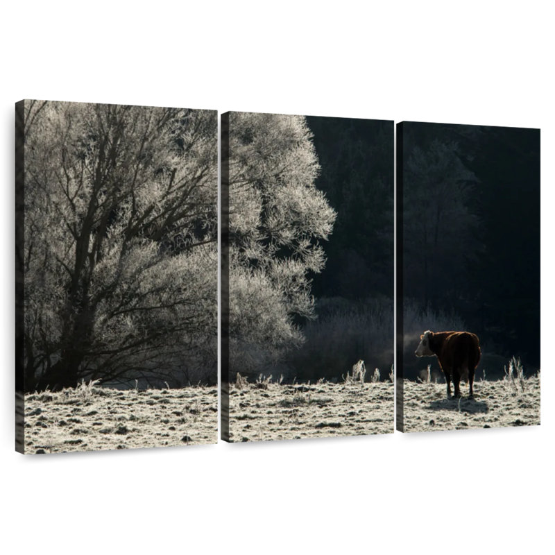 Vache Brampt Cold Otago, H 36 po x l 57 po