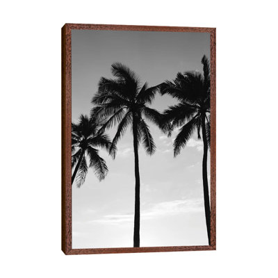 Hawaiian Palms III by Bethany Young - Print on Canvas