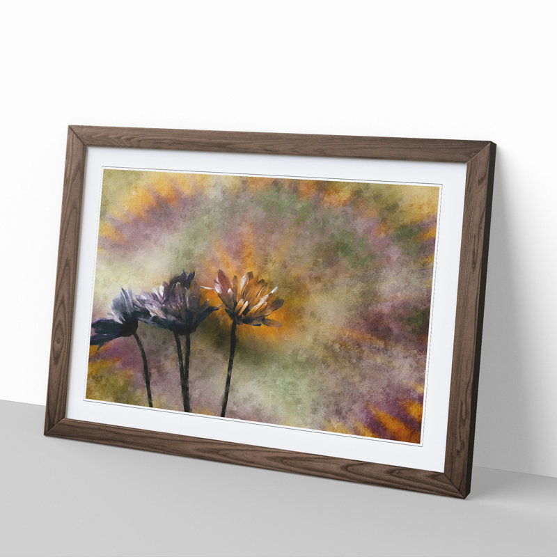 Three Daisies - Picture Frame Graphic Art, 27cm H x 36cm W x 2cm D, Walnut