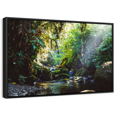 Forest In Panama Canvas Print