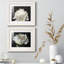 ALL AFLUTTER - ensemble de 2 reproductions-1761994144-1761994145-1778156556