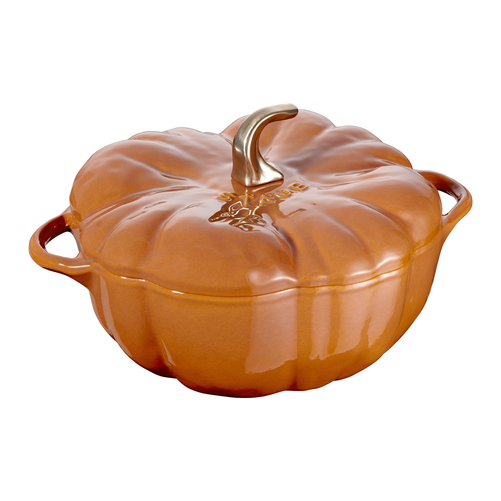 Enameled Cast Iron Pumpkin Cocotte