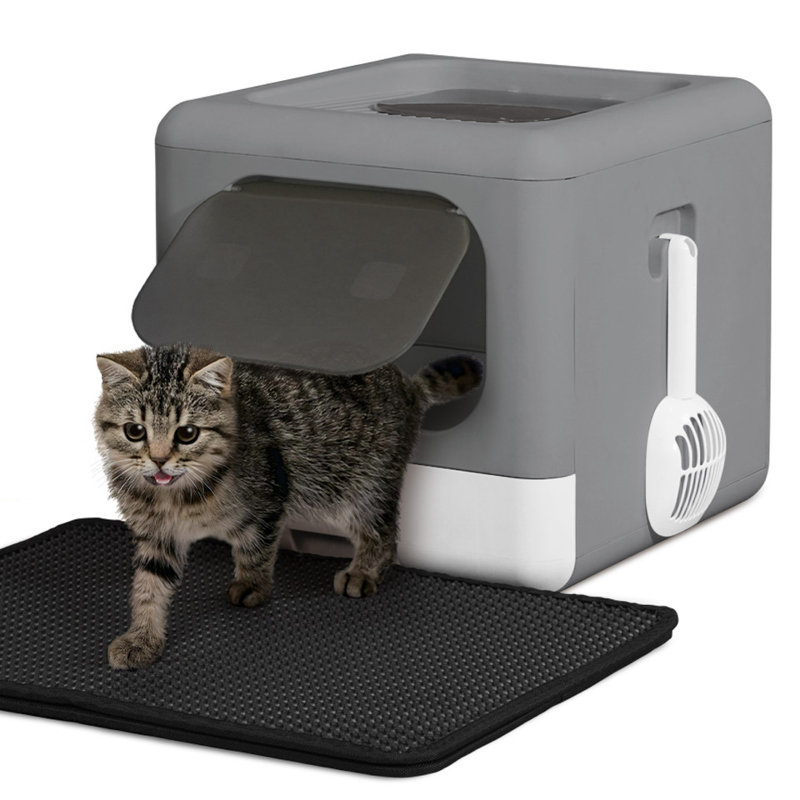 Bac à litière pliable pour chat avec couvercle pour chaton, petit bac d'entrée et de sortie à deux voies avec pelle, tapis pour chat et filtre à odeurs, bac à litière facile à nettoyer, gris foncé