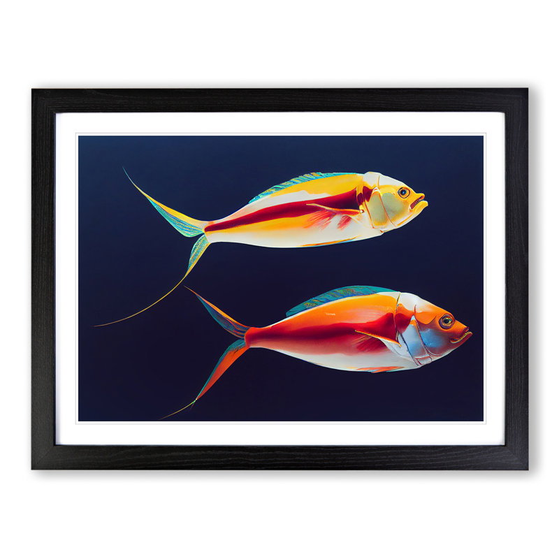 Prime Fish - Single Picture Frame Print, Black Framed, 46cm H x 64cm W x 2cm D