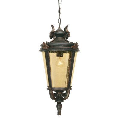 Vencimont Outdoor Hanging Lantern