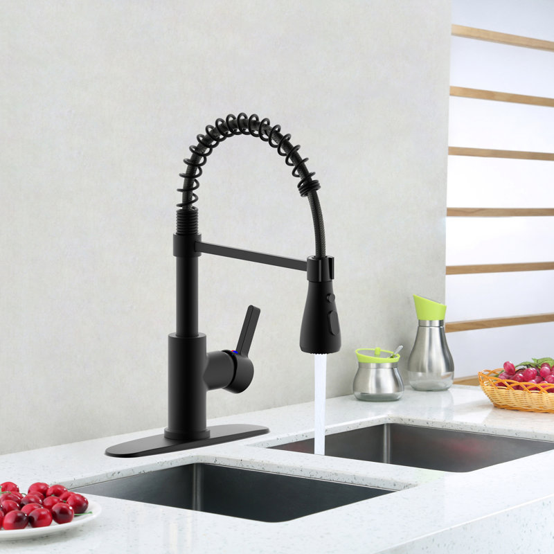 Derengge Single Handle  Spring Kitchen Faucet With Pull-Down Sprayer