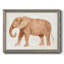 Éléphant sagesse I-636670017-636670030