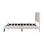 Zaizi Upholstered Bed-786640488