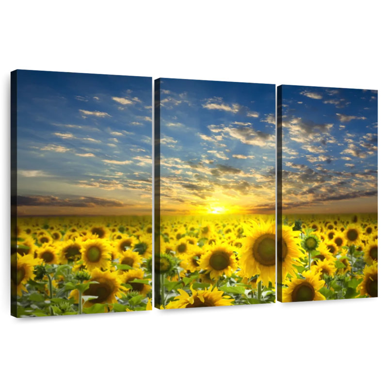 Alvord, tournesol, champ, coucher de soleil, horizon, H 42 po x l 65 po