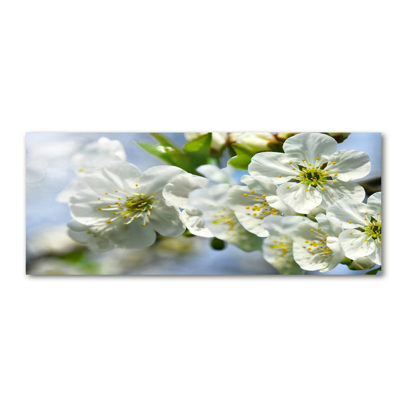 Cherry Blossom - Wrapped Canvas Print